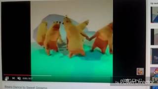 Dancing Bears