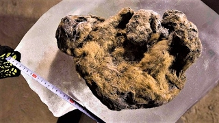 10 ANCIENT Discoveries in Siberia