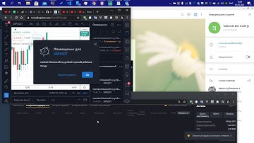 демонстрация скорости бота saltanat node js для tradingview для торговли в binance