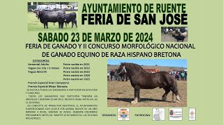 Ruente | Feria de GANADO y II Concurso Morfológico de raza Hispano Bretona | Feria de San José 2024