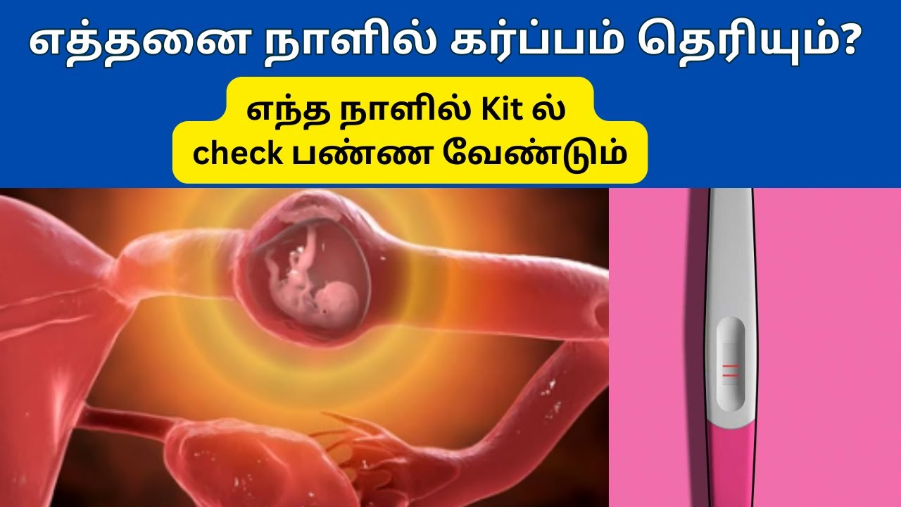 When To Confirm Pregnancy Test After How Many Days Pregnancy Can Be Confirmed By Urine Test