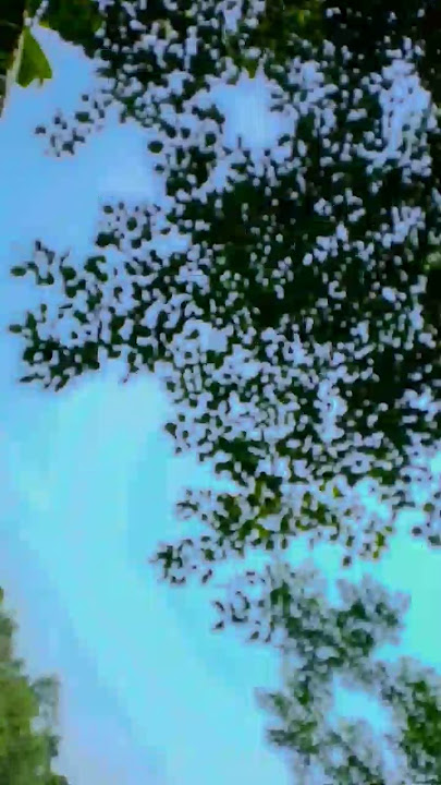 Duniya_haseenon_ka mela _ mele_mein_yeh_dil_akela_#hindisong _#bollywood _#song _#shdtmusic_