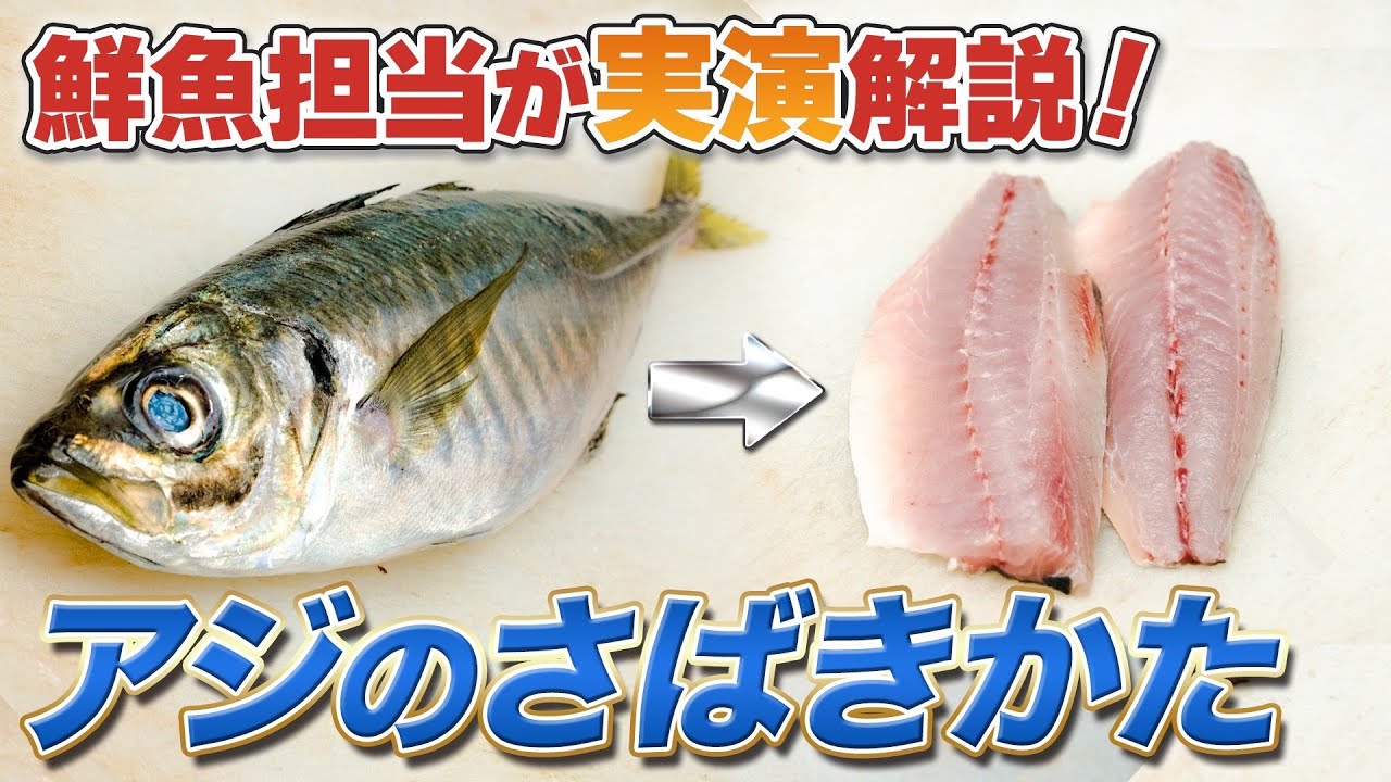 【家庭で簡単】アジのさばきかたを実演解説!|スーパー鮮魚担当がアジの三枚おろし - YouTube