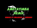 Ameyatimba Remix - Whozu ft mbosso ft billnas (LYRICS)