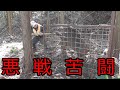 これが田舎の【SDGs】