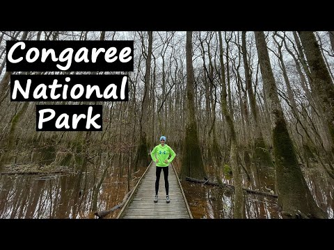 Congaree National Park (South Carolina) Boardwalk Loop Trail, Weston Lake Loop Trail, and more!