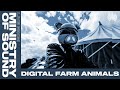 Digital farm animals dj set from ministry of sound  ministry sessions