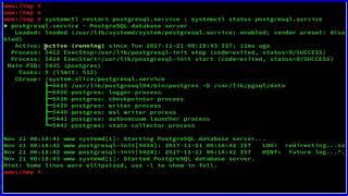 Enabling Remote Connections on PostgreSQL Servers on OpenSUSE Leap 42.2