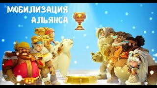 :    Whiteout Survival:     !