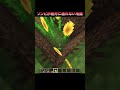 ゾンビが絶対に通れない地面… #Shorts #Minecraft #マイクラ #マインクラフト