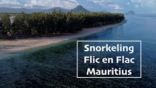 Snorkel Review - Flic En Flac, Mauritius