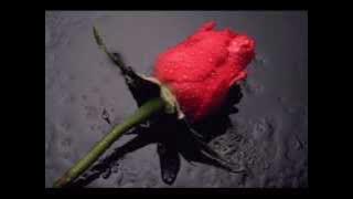 'biarkan.' Broery-Dewi Yull.wmv