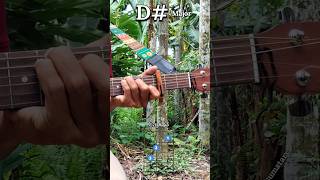 3rd Fret Capo D# Major Guitar Chords 🎸