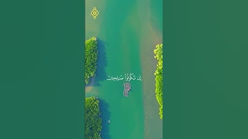 سورة الإسراء - الآية 25 | بصوت فارس عباد | "ربكم أعلم بما في نفوسكم" 🌿