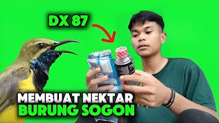 NEKTAR BURUNG SOGON ‼️ PAKAI DEXTRO 87 SOGON BISA GACOR