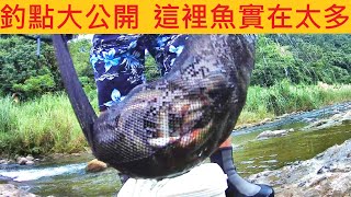 橋下釣點大公開 這裡魚實在太多ㄌ @大家記得要幫忙移除外來種