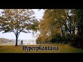 Hyperphantasia | My RØDE Reel 2021