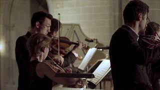 Vivaldi - Concerto in G minor RV 156 for strings & b.c. New Era Orchestra