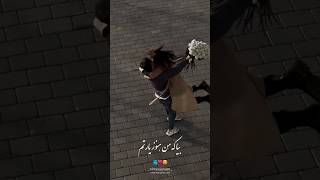 بیا که من هنوز یارتم شب یادتم و روز یادتم فدات شم مهستی