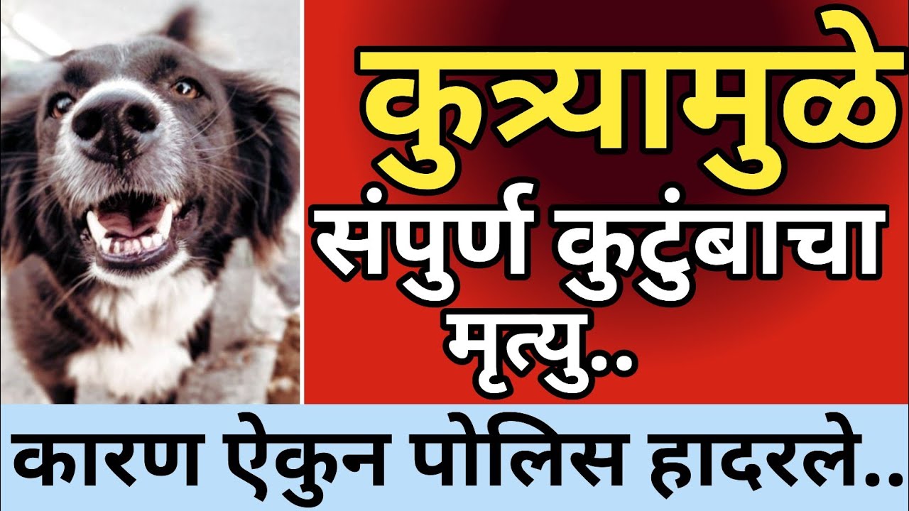 Ep 564 - कुत्र्यामुळे संपूर्ण कुटुंबाचा मृत्यू..😱 | kalam 302