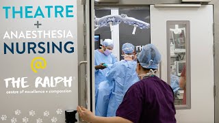 Theatre and Anaesthesia Nursing at The Ralph by The Ralph Veterinary Referral Centre 545 views 1 year ago 3 minutes, 1 second