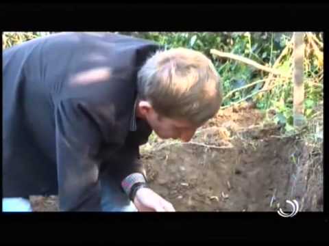 პორტრეტი / გურამ ჩხატარაშვილი / არქეოლოგი / 22 04 2015