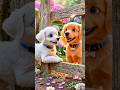 Double the Cuteness! 🐶🐶 Friendship Goals#shorts, #funnyanimals, #usa, #trending