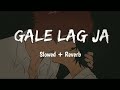 Gale Lag Ja Slowed Reverb Song | De Dana Dan | Akshay Kumar, Katrina Kaif | 𝐒𝐥𝐨𝐰𝐞𝐝   𝐑𝐞𝐯𝐞𝐫𝐛