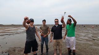 AFN Tries: Digging for Clams