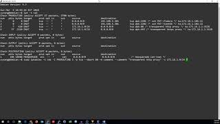 Transparent HTTP Proxy Transparent HTTP Proxy