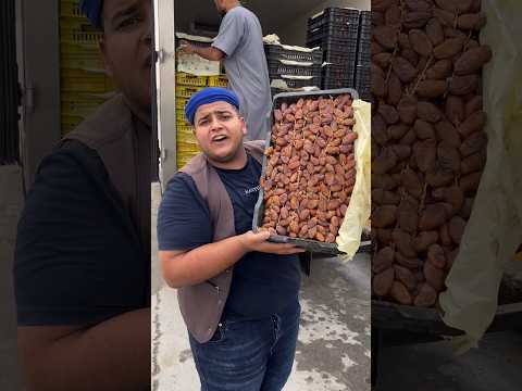 الباندا فولو باندا الباندا الخضار للبيع الجديد لايك اكسبلور