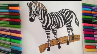 Zebra Coloring Pages for Kids - Zebra Coloring Pages - Cartoon HD ✔