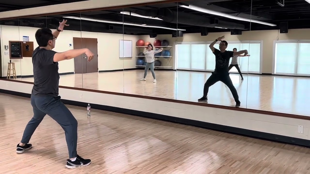 Chen Style Tai Chi 83 Form Sequential Movement 1-9