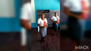 H.F.L.E Micro-teaching