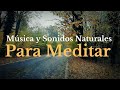 Msica y sonidos naturales para meditar y relajarse    musica relajante 