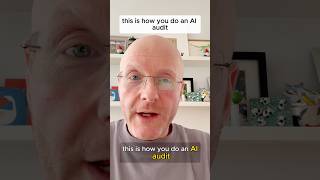 How to do an AI Audit