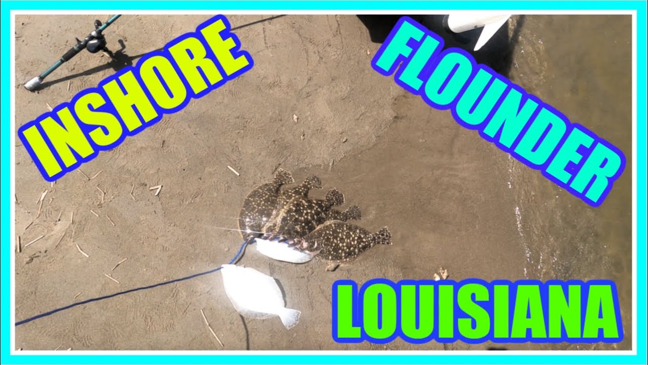 INSHORE FLOUNDER FISHING LOUISIANA! Grand Isle, LA YouTube