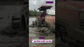 සහයෝගයෙන් කුඹුරු හෑම / Cultivation of paddy fields / Kubota Tractor / Tractor Videos shorts