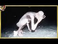 カメラが捉えたSCP財団の怪物15