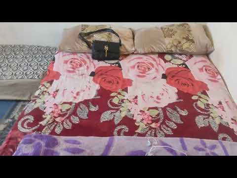 فتحت التواقي وفحفحت شومبرتي احساس ينحيلك الكسل ويرفعلك راسك هبة هداتها معلمتها هدية