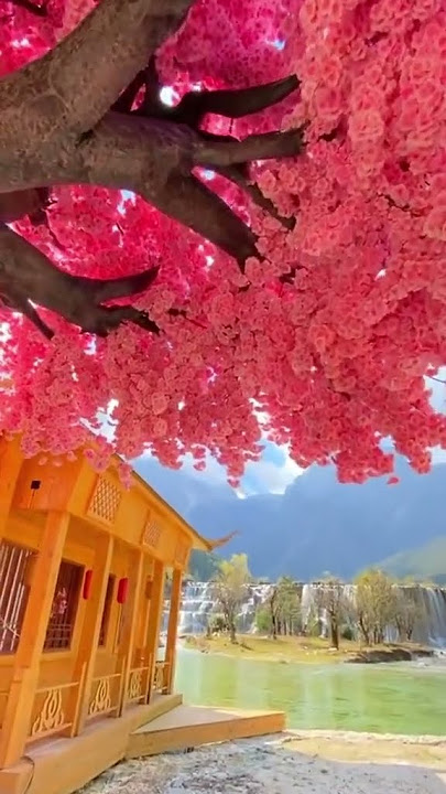 Beauty full place