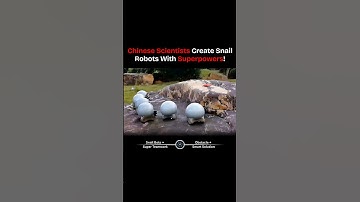 Snail-Inspired Robot Swarm Redefines Future Robotics #InfotechLavanya