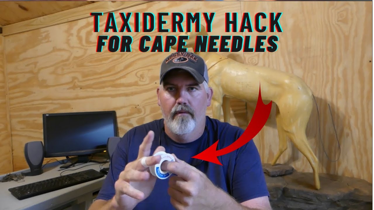 Taxidermy Hack for cape needles 