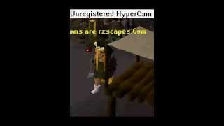 Best Silab Server Ever