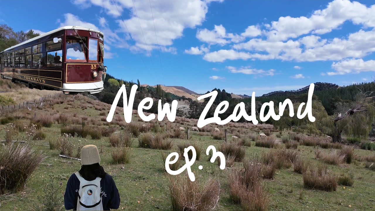 🇳🇿뉴질랜드여행 ep.3 | 남섬에서 북섬까지 | 크라이스트처치에서 타우포로, 배타고 떠나는 로드트립🇳🇿