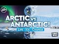 Polare Extreme Arktis Vs Antarktis Leben Eis Wandel
