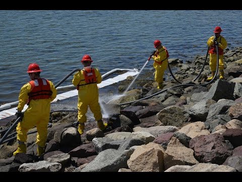 Clean Harbor Careers