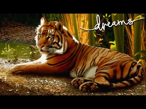 Dreams PS4\PS5 | Tiger Painting