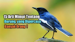 15 Arti Mimpi tentang Burung yang Dipercaya Banyak Orang | Ambil Hikmahnya