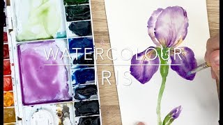 Watercolour Iris